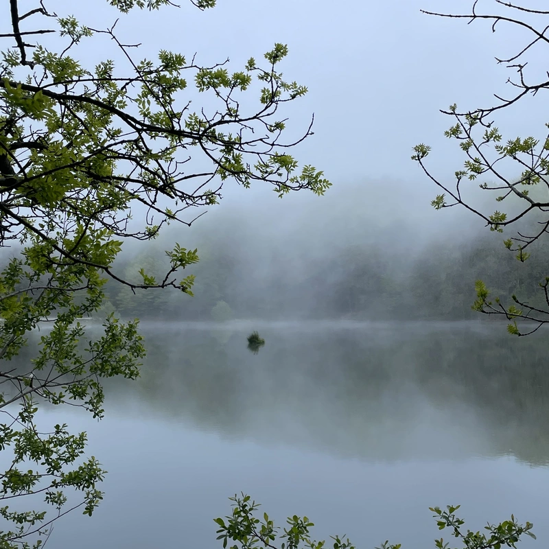 Montseny landscape